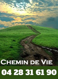 Chemin de vie